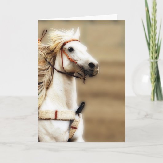 Silver Shadow Blank Inside Greeting Card Kaart (Voorkant)