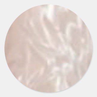 Silver Shine Lables Rond Ronde Sticker