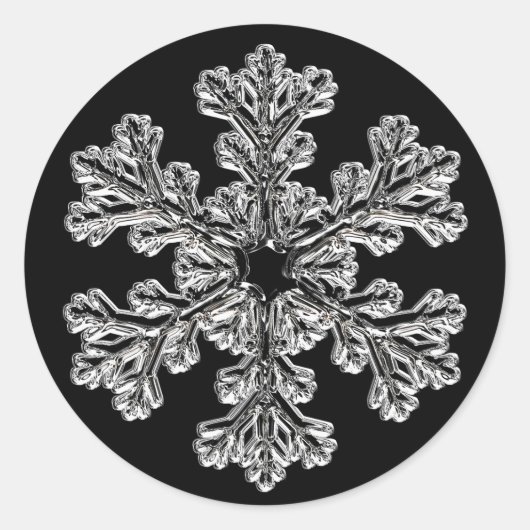 Silver Snowflake Holiday Greeting Ronde Sticker (Voorkant)