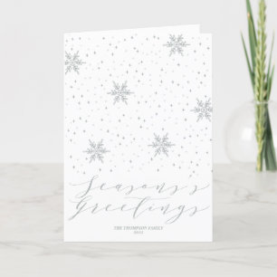 Silver Snowflakes Seasons Greetings KerstHoli Feestdagen Kaart
