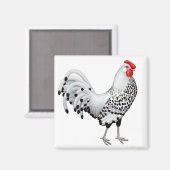 Silver Spangled Hamburg Rooster Magnet Magneet (Voorkant / Achterkant)