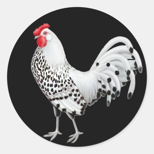Silver Spangled Hamburg Rooster Sticker (Voorkant)