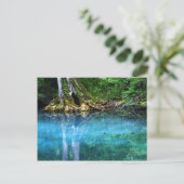 Silver Springs Briefkaart (Staand voorkant)