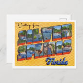 Silver Springs, Florida Big Letters Briefkaart (Voorkant / Achterkant)