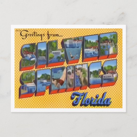 Silver Springs, Florida Big Letters Briefkaart (Voorkant)