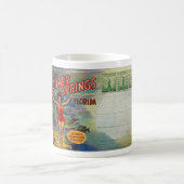 SILVER SPRINGS FLORIDA BRIEFKAART COFFEE MOK 1940 (Center)