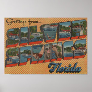 Silver Springs, Florida - Grote Letter-scènes Poster