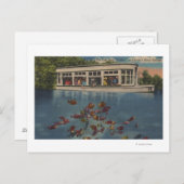Silver Springs, Florida - Uitzicht van Riverboat & Briefkaart (Voorkant / Achterkant)