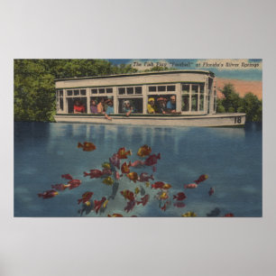 Silver Springs, Florida - Uitzicht van Riverboat & Poster