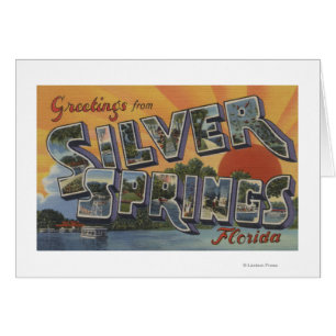 Silver Springs, la Floride - grandes scènes 2 de