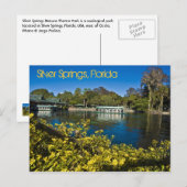 Silver Springs Natuur Theme Park, Florida, VS Briefkaart (Voorkant / Achterkant)
