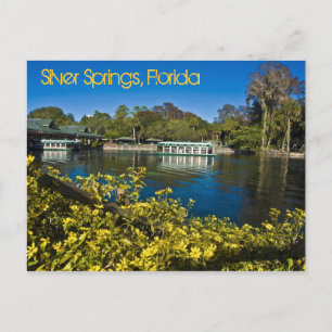Silver Springs Natuur Theme Park, Florida, VS Briefkaart