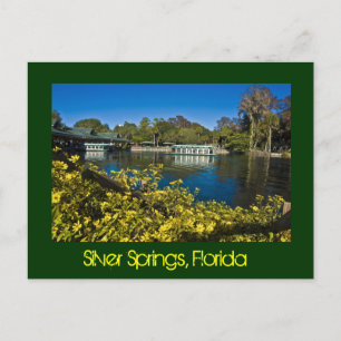 Silver Springs Natuur Theme Park, Florida, VS Briefkaart