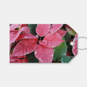 Silver Star Marble Poinsettias Pink Holiday Floral Cadeaulabel