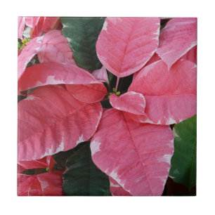 Silver Star Marble Poinsettias Pink Holiday Floral Tegeltje