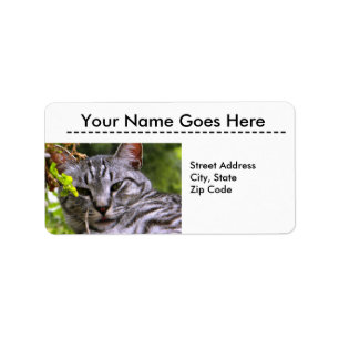 Silver Tabby Cat Head Adresetiketten Etiket
