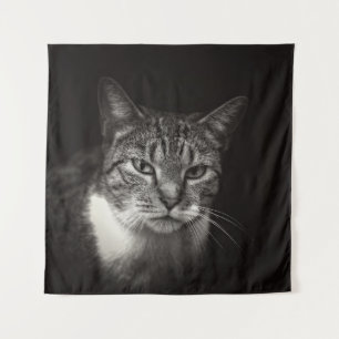SILVER TABBY CAT WANDKLEED