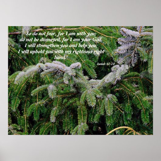 Silver Tip Fir Tree Isaiah 41:10 Afdruk Poster (Voorkant)