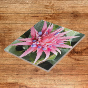 Silver Vase Plant Bloom Floral Tegeltje