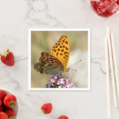 Silver-washed Fritillary butterfly on flower Servet (Insitu)