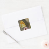 Silver-washed Fritillary butterfly on flower Vierkante Sticker (Envelop)
