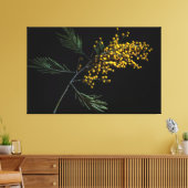 Silver Wattle Flowers Canvas Afdruk (Insitu (Woonkamer))