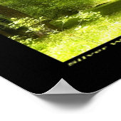 Silver Wood Poster (Hoek)