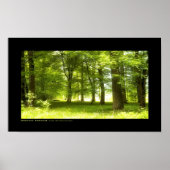 Silver Wood Poster (Voorkant)