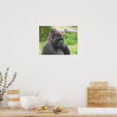 silverback 001 canvas poster (Keuken)