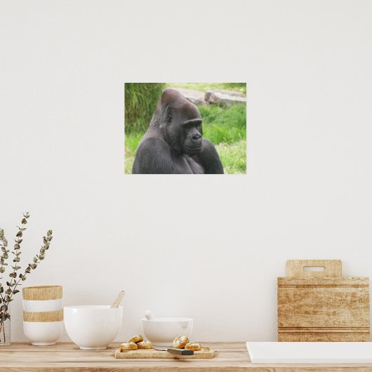 silverback 001 canvas poster (Keuken)