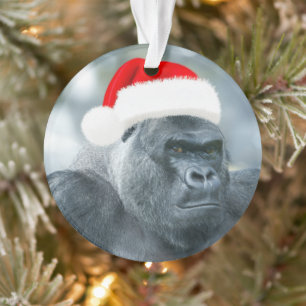 Silverback comme groupe de Noël