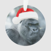 Silverback comme groupe de Noël (devant)
