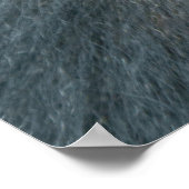 Silverback Dishi Poster (Hoek)