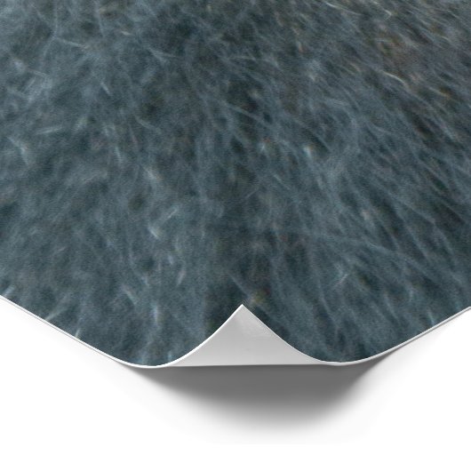 Silverback Dishi Poster (Hoek)