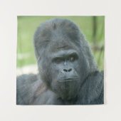 Silverback Dishi Wandkleed (Voorkant)