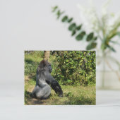 Silverback Gorilla Briefkaart (Staand voorkant)