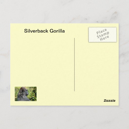 Silverback Gorilla Briefkaart (Achterkant)
