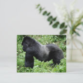 Silverback gorilla-briefkaart briefkaart (Staand voorkant)