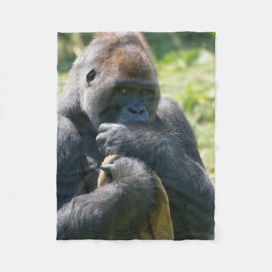 Silverback Gorilla en zijn portemonnee Fleece Deken (Voorkant)