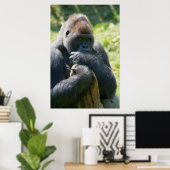 Silverback Gorilla en zijn portemonnee Poster (Thuiskantoor)