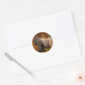 Silverback Gorilla Foto Sticker (Envelop)
