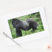 Silverback gorilla foto sticker (Envelop)