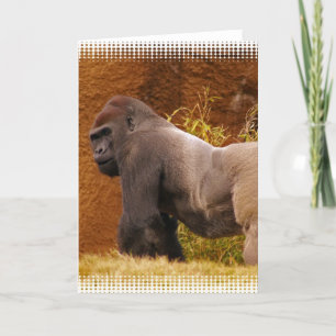 Silverback Gorilla Foto Wenskaart Kaart