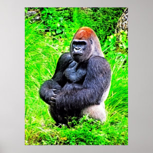 Silverback Gorilla fotoschilderen Poster