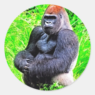 Silverback Gorilla fotoschilderen Ronde Sticker