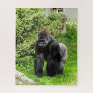 Silverback gorilla legpuzzel