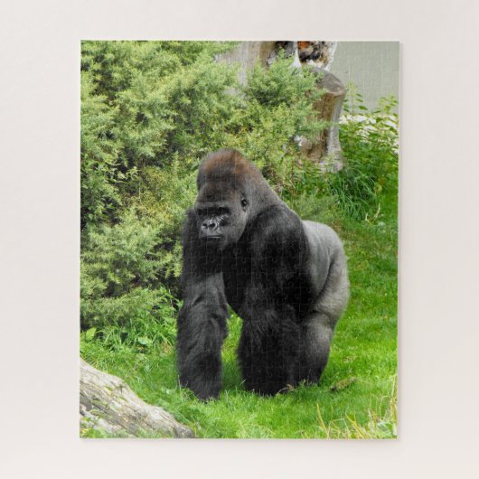 Silverback gorilla legpuzzel (Verticaal)