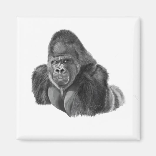 Silverback Gorilla Magnet ゴリラのマグネット Magneet (Voorkant)