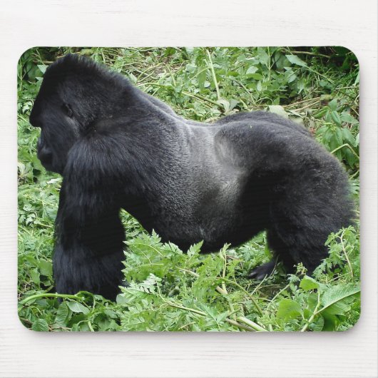 Silverback gorilla mousepad muismat (Voorkant)