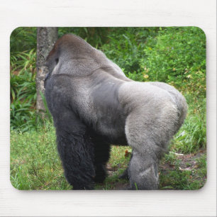 Silverback Gorilla Muismat